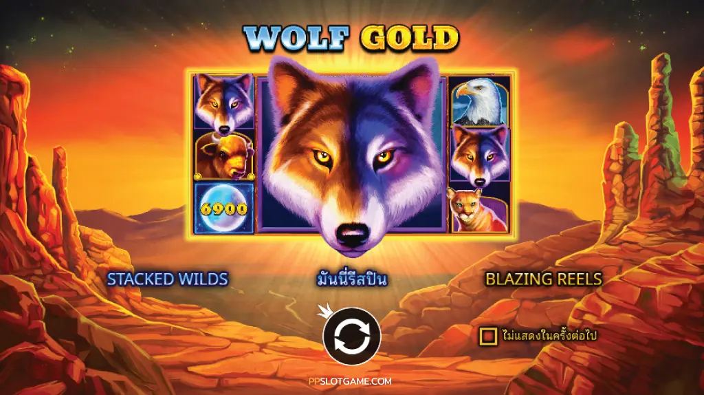 Wolf Gold Features